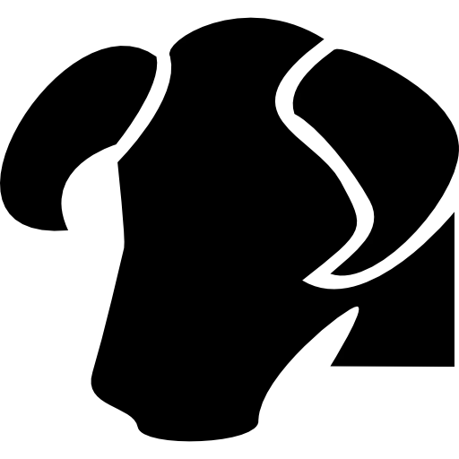 Býk